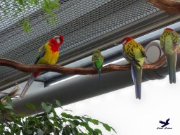 Haus des Meeres 4.02.2026